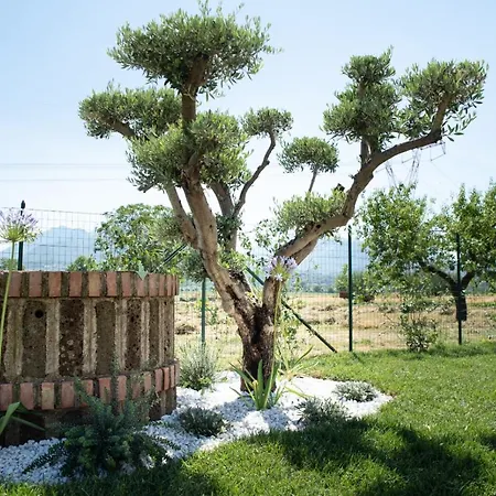 Dimora Musco Bed & Breakfast Oda ve Kahvaltı Castel Campagnano